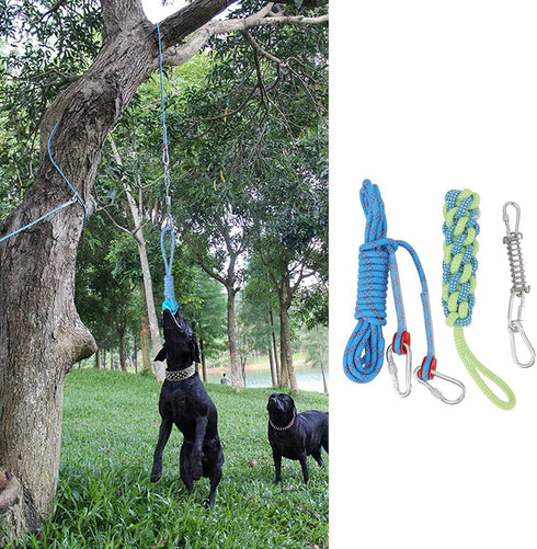 Asixxsix Spring Pole Dog Rope Toy, 16.4ft Outdoor Bungee Hanging Toy for Small Medium Large Dogs
