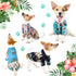 4 Pieces Hawaiian Dog Shirts with Coconut Tree Print, Pet T-Shirts for Small to Medium Dogs and Cats (Medium)