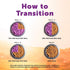13.2 Oz (Pack 6) Halo Wet Dog Food Whole Beef Stew Recipe, Healthy Grains Real Meat Canned Dog Food, Meal or Topper