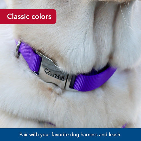 Coastal Pet Adjustable Dog Collar – Purple – 3/4" x 14" - 20" with Metal Buckle
