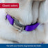 Coastal Pet Adjustable Dog Collar – Purple – 3/4" x 14" - 20" with Metal Buckle