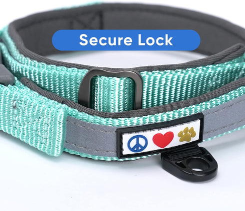 Pawtitas Lumberjack Padded Martingale Collar for Dogs, Soft Neoprene, Reflective Band, Medium Teal, Fits Small and