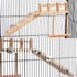 Bird Perches Platform Swing with Climbing Ladder, Sturdy Wooden Playing Gyms for Small Birds