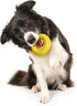 Playology Durable Dog Toys - Dual Layer Chew Ring Toy, Chicken Scented Yellow Rubber for Medium Dogs