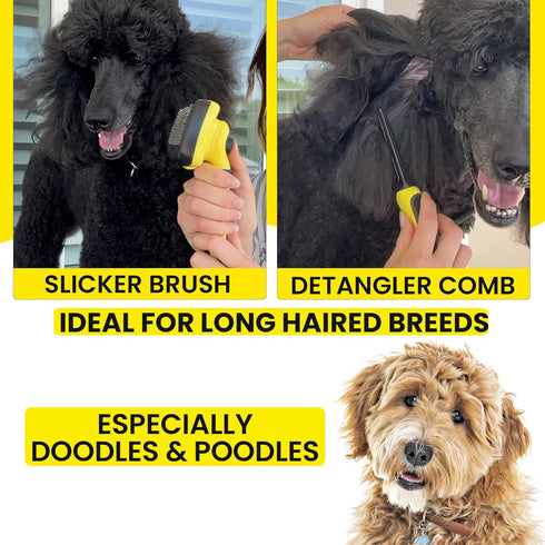 Self-Cleaning Slicker Brush for Dogs - Grooming Kit for Poodles and Goldendoodles