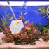 Skimming IMIKEYA Extendable Shrimp Net Fish Mesh Net Black Square Frame Fish Tank Cleaning Shrimp Catching Suitable