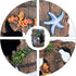 WishLotus Aquarium Fish Tank Decorations, Plastic Plants Fish Cave Castle Ornaments for Tank Décor