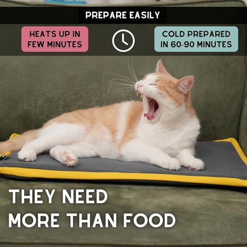 Cooling Heating Mat for Cat & Dog, Small Medium Pet, 5 Layers Microwave Water Repellent No-Electric Thermal Pad,