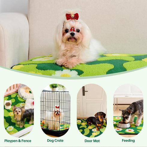14"x18", 2 Pack Qeils Reusable Puppy Pads for Small Dogs, Washable Pee Pads with Non-Slip , Absorbent Leakproof Mat