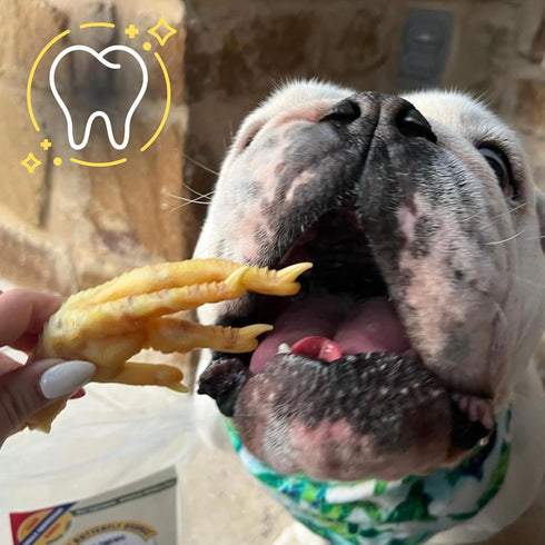 Green Butterfly Chicken Feet Dog Treats - 100% All Natural Dental Chews, Made in USA, 10 Pack, Rich in Glucosamine