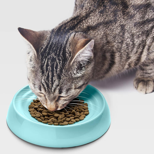 CatGuru Cat Bowls - Whisker Friendly Cat Food Bowl Set of 2, Non Slip Pet Feeding Plate, Shallow Kitten Dish (Aruba)