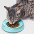 CatGuru Cat Bowls - Whisker Friendly Cat Food Bowl Set of 2, Non Slip Pet Feeding Plate, Shallow Kitten Dish (Aruba)