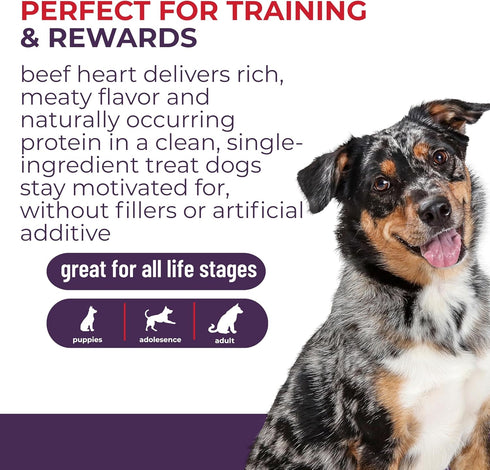 3 oz Momentum Carnivore Nutrition Freeze-Dried Beef Heart Dog Treats & Cat Treats Single-Ingredient, High-Protein