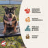 Fromm 12 lb Heartland Gold Adult Premium Dry Dog Food - Beef Recipe
