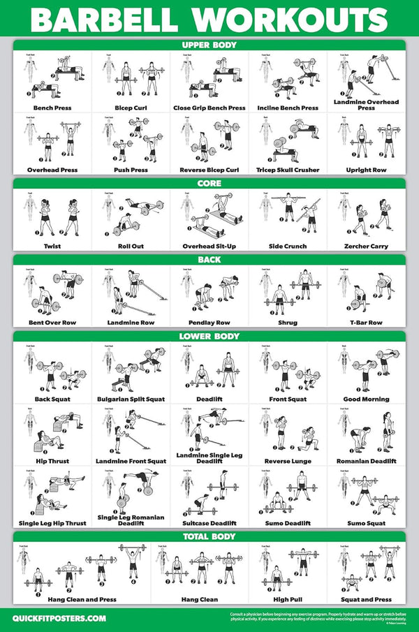 Palace Learning QUICKFIT Barbell Workout Exercise Poster Laminated 18in x 24in for Kids Room
