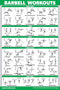 Palace Learning QUICKFIT Barbell Workout Exercise Poster Laminated 18in x 24in for Kids Room