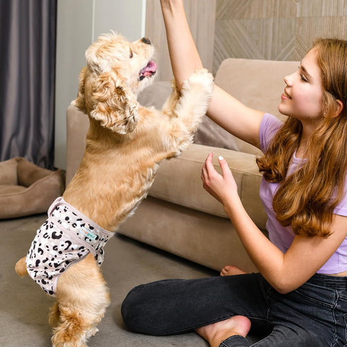 Langsprit Washable Female Dog Diapers - Doggie Reusable Diapers for Doggy Puppy Female in Period - Highly Absorbent Dog