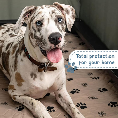 24x36 Inch, 2 Pack EZwhelp Reusable Dog Pee Pads, Washable Waterproof Mats for Potty Training or Whelping Pads, Puppy