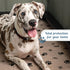 24x36 Inch, 2 Pack EZwhelp Reusable Dog Pee Pads, Washable Waterproof Mats for Potty Training or Whelping Pads, Puppy