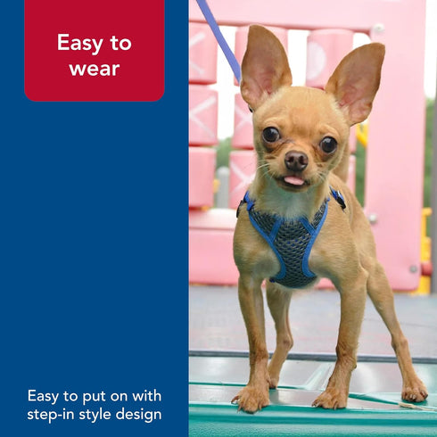 Coastal Pet Comfort Soft Sport Wrap Adjustable Dog Harness - Durable Grey with Blue Harness for Large & Small Dogs,