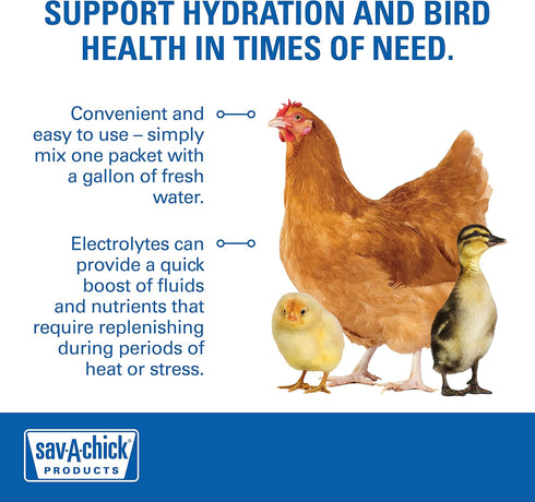 Sav-A-Chick Electrolyte & Vitamin Supplement - (3 - 0.2 oz packets)