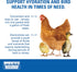 Sav-A-Chick Electrolyte & Vitamin Supplement - (3 - 0.2 oz packets)