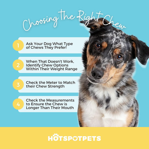 hotspot pets Premium Beef Trachea for Dogs 6" STRIPS Split - All Natural Grass-Fed Beef Dog Chews