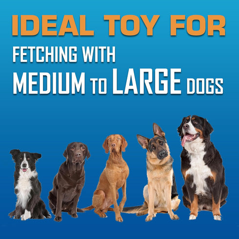 Nerf Dog Tire Flyer Outdoor Dog Toy - 10 Inch Flying Disc for Medium and Large Dogs, Blue