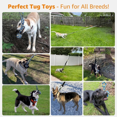 LOOBANI Outdoor Bungee Tug Toy, Dog Toy Hanging from Tree for Small to Large Dogs, Interactive Exercise Play Cord