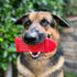 Heavy Duty Dog Chew Toy, Fire Hydrant Design, Red Nylon, 7 inch, Large, USA Made