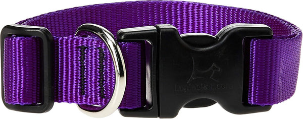 LupinePet Basics Adjustable Collar for Medium and Larger Dogs (1", Purple, 12-20")