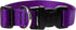 LupinePet Basics Adjustable Collar for Medium and Larger Dogs (1", Purple, 12-20")