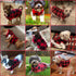 KOOLTAIL Small Dog Winter Jacket, Windproof Pet Vest Sweater with Pocket and Leash Hole, Christmas Red Plaid