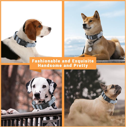 2 Pack Reflective Dog Collar with Safety Locking Buckle, Adjustable Soft Nylon for Small, Medium, Large Dogs, Gray, L