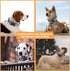 2 Pack Reflective Dog Collar with Safety Locking Buckle, Adjustable Soft Nylon for Small, Medium, Large Dogs, Gray, L