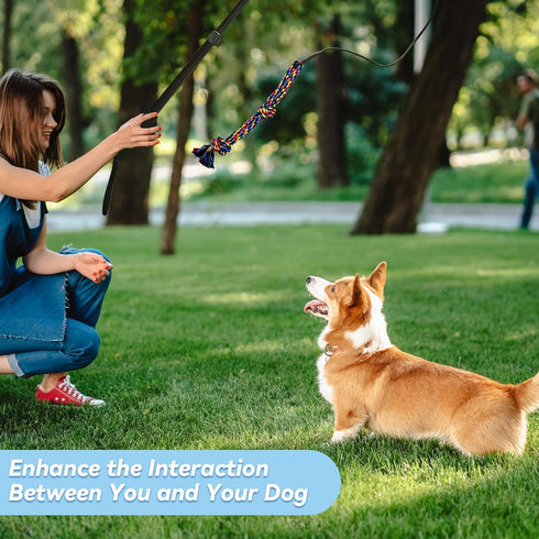 Flirt Pole for Dogs, Interactive Toys Tug-of-war for Dogs, Four-Section Retractable Adjustable Length, Chase Toys