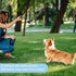 Flirt Pole for Dogs, Interactive Toys Tug-of-war for Dogs, Four-Section Retractable Adjustable Length, Chase Toys