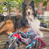 Pacific Pups Large Dog Toys 4 Piece Dog Toy Set for Aggressive Chewers, Dog Tug of War Toys for Large Dogs