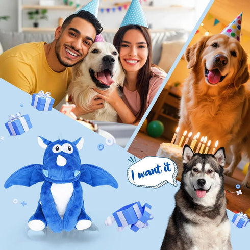 loncoldy Plush Dog Toys, Tough Chew Toys for Dogs, Crinkle Stuffed Squeaky Toy for Small Medium Large Breed