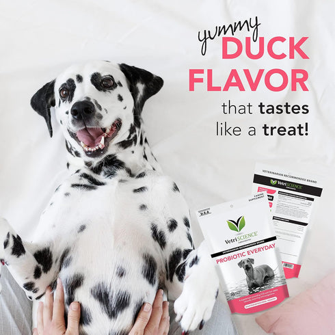 VetriScience Probiotic Everyday for Dogs, Duck Flavor 120 Chews, Supports Itchy Skin, Gut Health, and Gas Relief