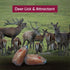 (2-Pack) 6-8lbs Himalayan Mineral Salt Rock for Deer Organic Pink Salt Block, Each for Enhanced Deer Health