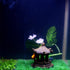 Saim Pavilion Aquarium Decorative Resin Hexagonal Landscape Décor for Small Fish and Shrimp to Hide and Play