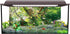 AWERT 72x24 inches Jungle Terrarium Background Grass Flowers Trees Sunlight Reptile Habitat Background Garden Plants Aquarium Background Vinyl Background