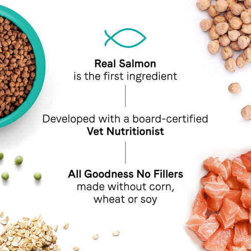 Canidae Goodness for Skin and Coat, Premium Adult Dry Cat Food with Real Salmon, 5 lbs.