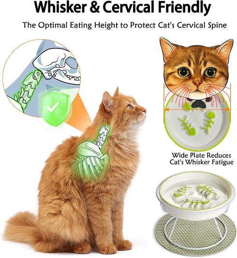 Raised Cat Dog Slow Feeder Bowl with Stand, Elevated Shallow Design, No Whisker Fatigue Ceramic Feeder