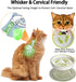 Raised Cat Dog Slow Feeder Bowl with Stand, Elevated Shallow Design, No Whisker Fatigue Ceramic Feeder