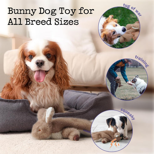 Fuzzwoof No-Stuffing Bunny Squeaky Dog Toy, Cute Plush Puppy Teething Toy to Keep Them Busy, Rabbit Interactive Tug