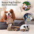 Fuzzwoof No-Stuffing Bunny Squeaky Dog Toy, Cute Plush Puppy Teething Toy to Keep Them Busy, Rabbit Interactive Tug