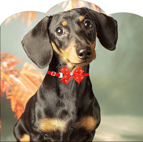 PET SHOW Adjustable Cute Dog Bow Ties Collar for Small Dogs Puppy Cats Bowties Neckties Pack of 50 Assorted Randomly
