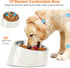 Tilted Angle Dog Bowl, 15° Slanted Stainless Steel Pet Feeder, Non-Slip & Non-Spill with Elevated Melamine Stand, White
